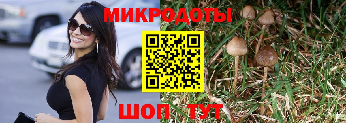Псилоцибиновые грибы MAGIC MUSHROOMS  Вход с VPN  Королёв  Псилоцибиновые грибы Psilocybe 